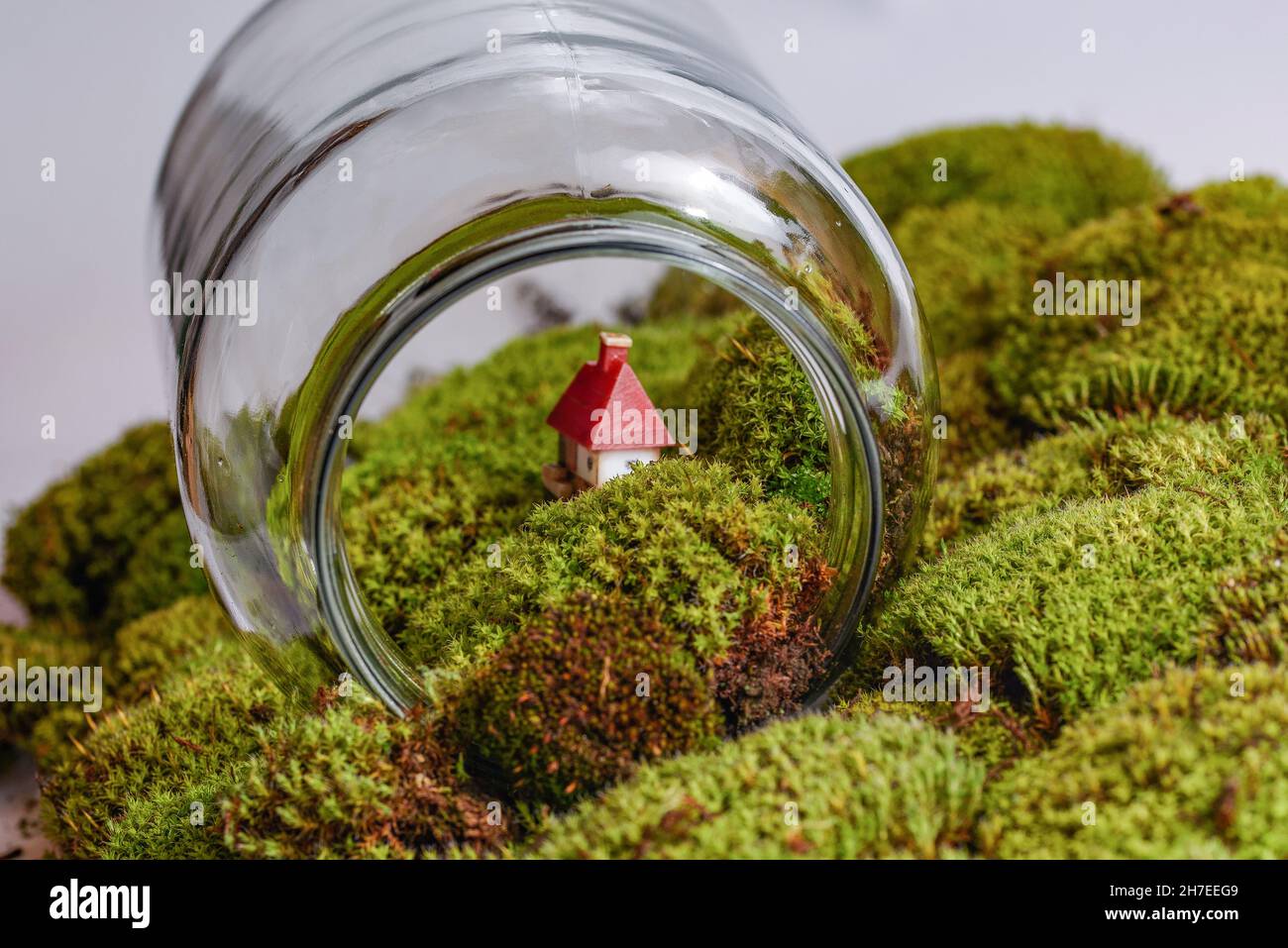 Scena giardino nel terrario in bottiglia trasparente con un giocattolo e  muschio. Concetto di ecosistema Foto stock - Alamy