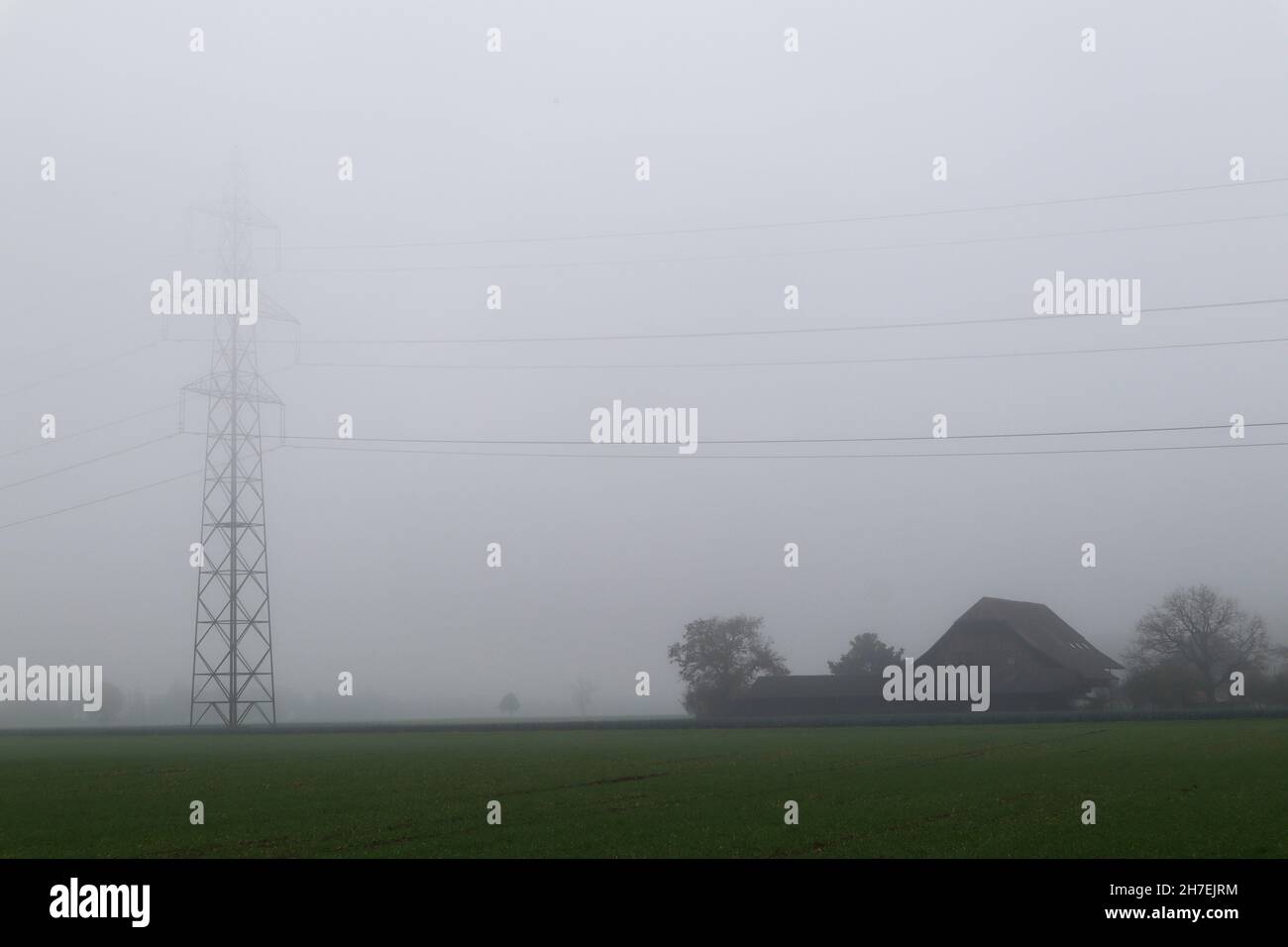 Linea elettrica in un paesaggio nebbia in Svizzera Foto Stock
