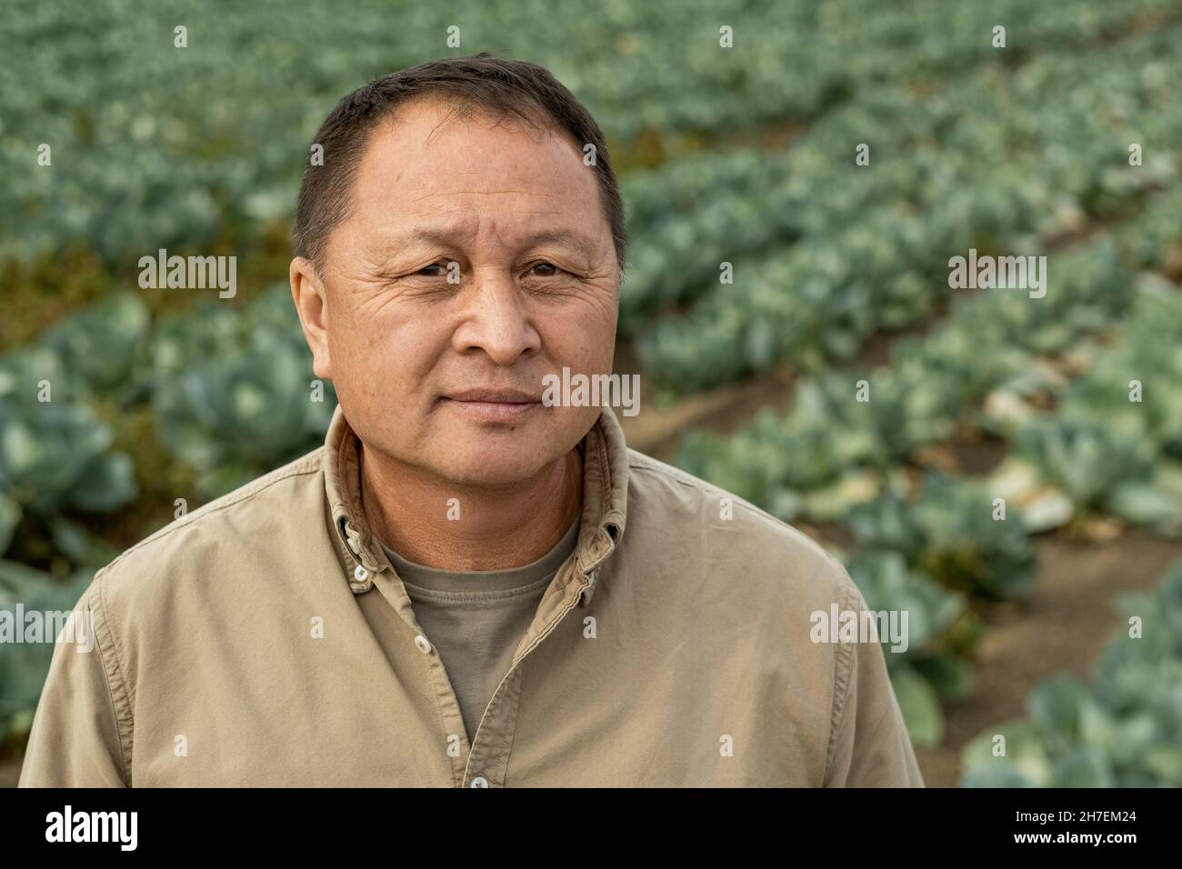 Ritratto di serio anziano assistente agricolo asiatico in camicia beige in piedi contro piantagione Foto Stock
