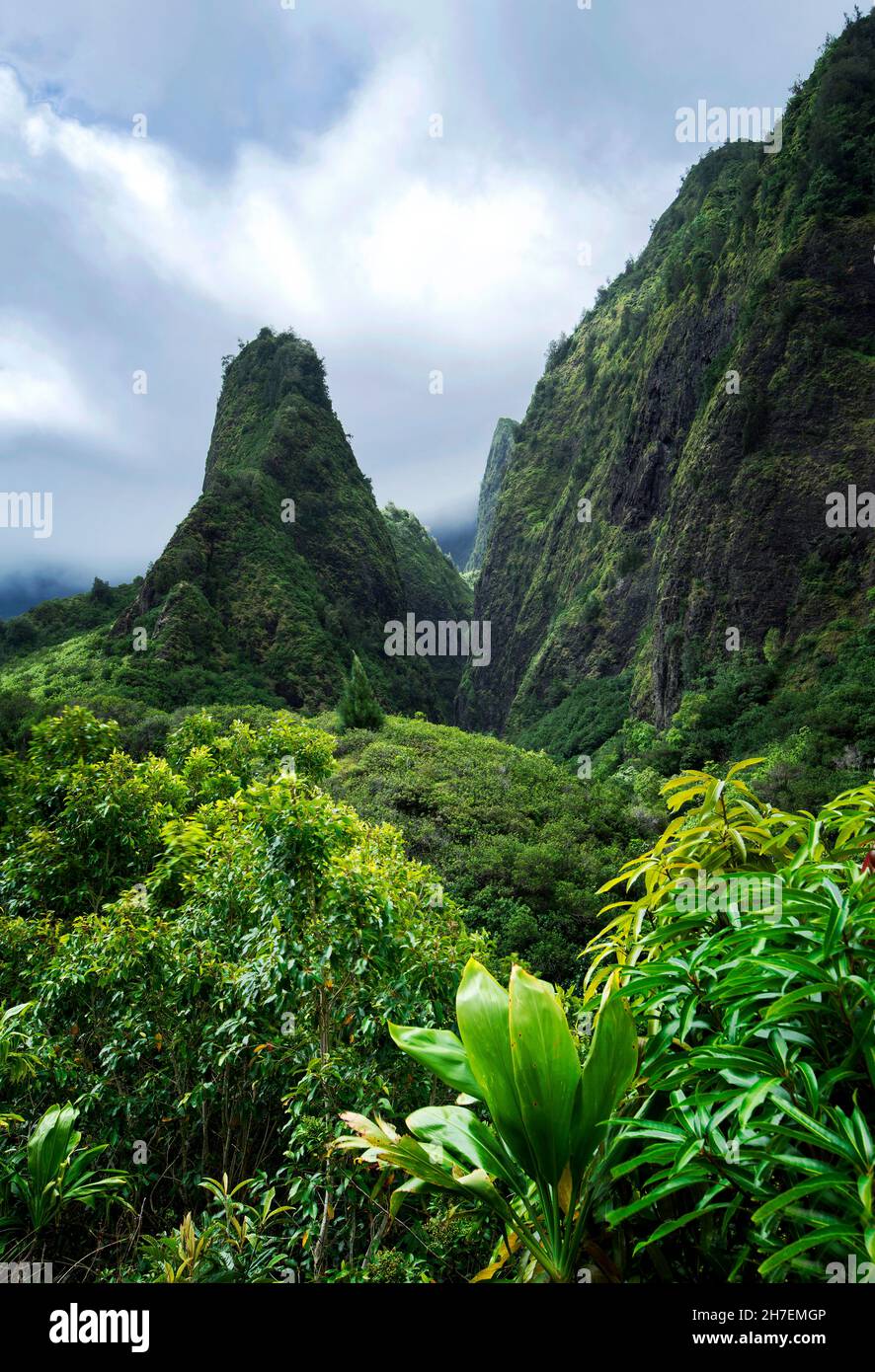 IAO Needle, Iao Valley, Iao Valley state Park, West Maui, Hawaii Foto Stock