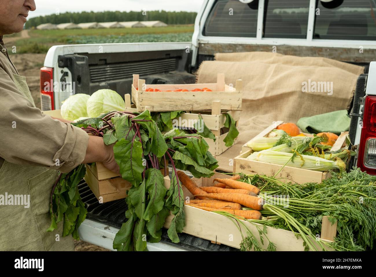 Primo piano della cabina del pick-up per giardiniere o agricoltori asiatici che caricano alimenti biologici dopo la raccolta delle colture Foto Stock