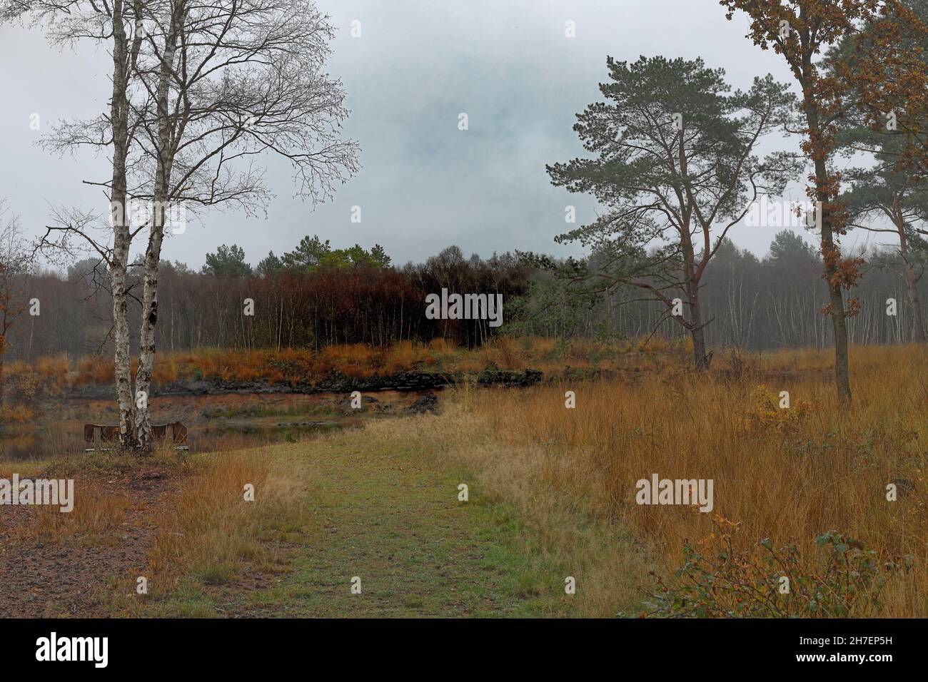 sentiero per uno stagno nella brughiera Foto Stock