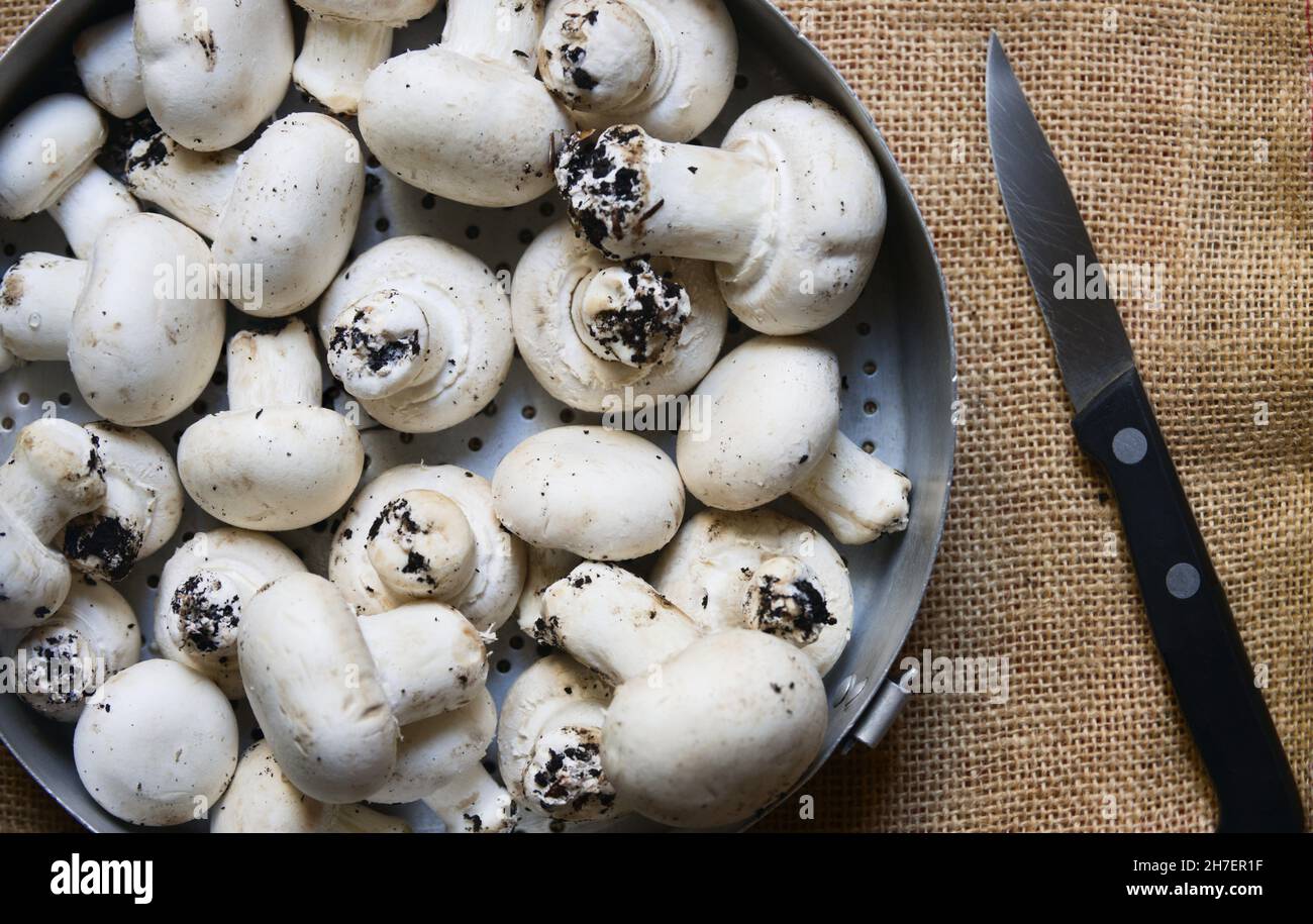 Immagine piatta di un contenitore in cui ci sono alcuni funghi bianchi (Agaricus bisporus) che hanno ancora terreno sui loro piedi, accanto ad un piccolo coltello sopra Foto Stock