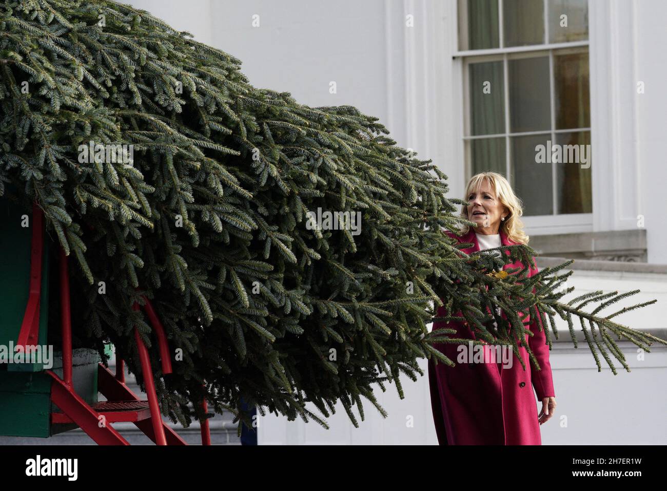 La prima signora degli Stati Uniti Jill Biden riceve l'albero di Natale ufficiale della Casa Bianca a Washington il 22 novembre 2021. L'albero è un abete Fraser alto 18 e 1/2 piedi da Jefferson, Carolina del Nord. Foto di Yuri Gripas/ABACAPRESS.COM Foto Stock