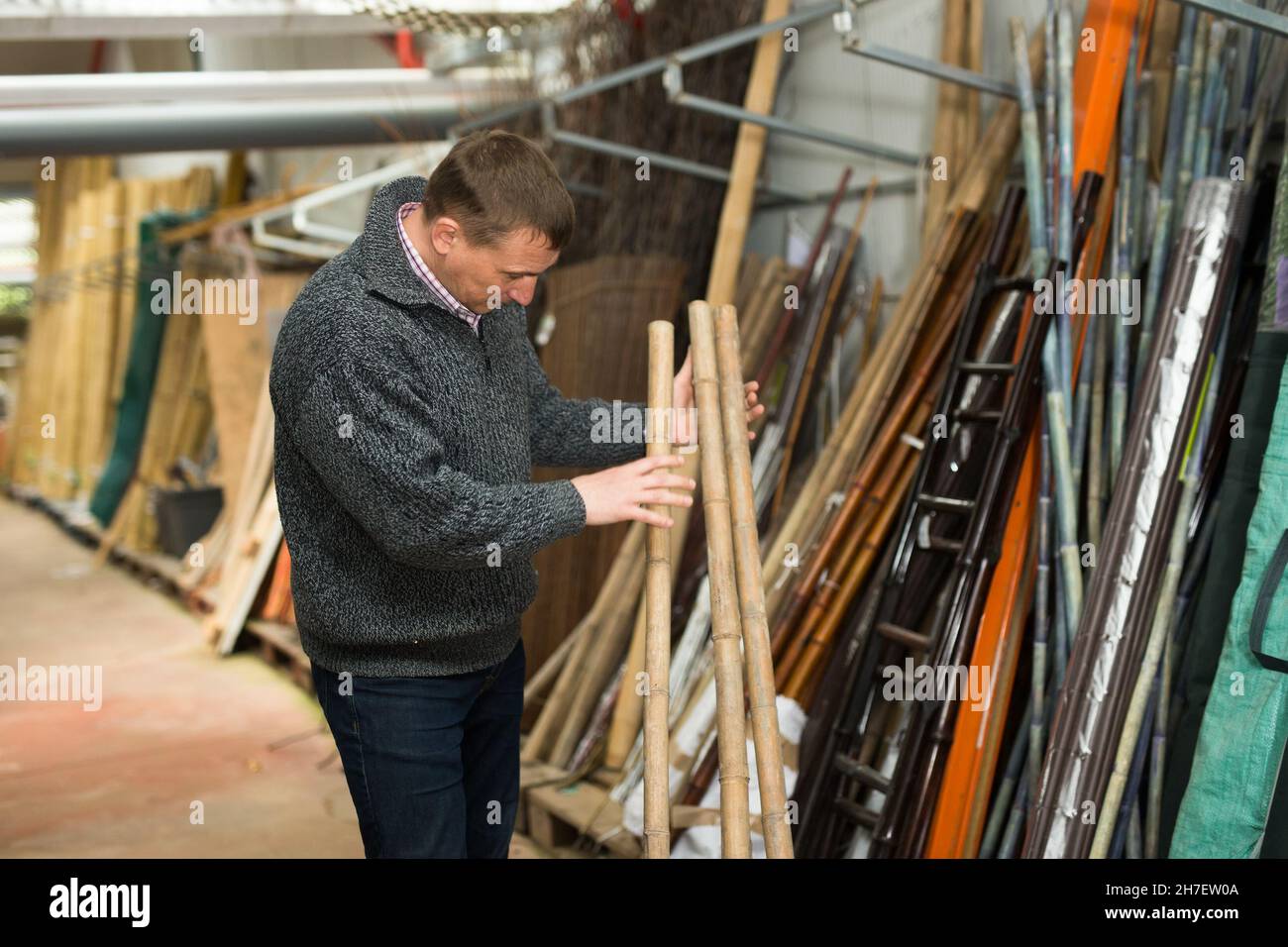Uomo che sceglie pali di bambù al negozio di giardinaggio Foto Stock