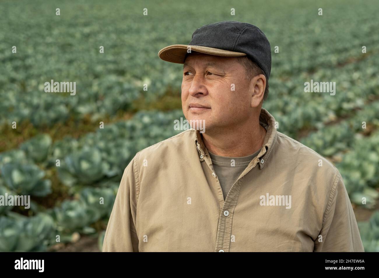 Lavoratore di piantagione asiatico maturo e pensivo in piedi in campo di cavolo e guardando a distanza Foto Stock