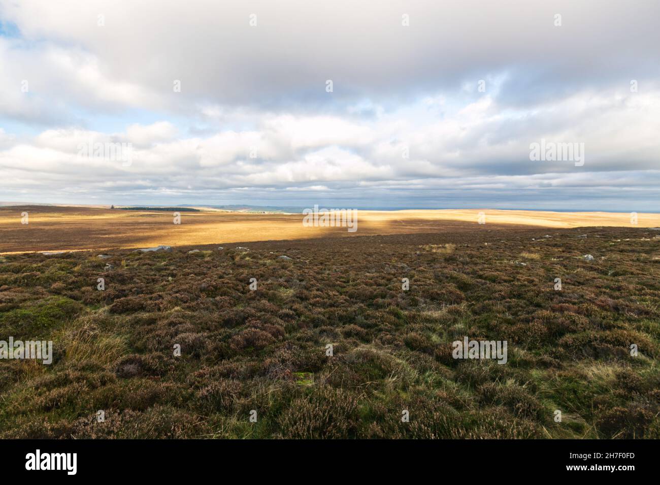 Scena autunnale da Stanage Edge, con vista su White Path Moss e Friar’s Ridge nel Peak District National Park, Inghilterra, Regno Unito Foto Stock