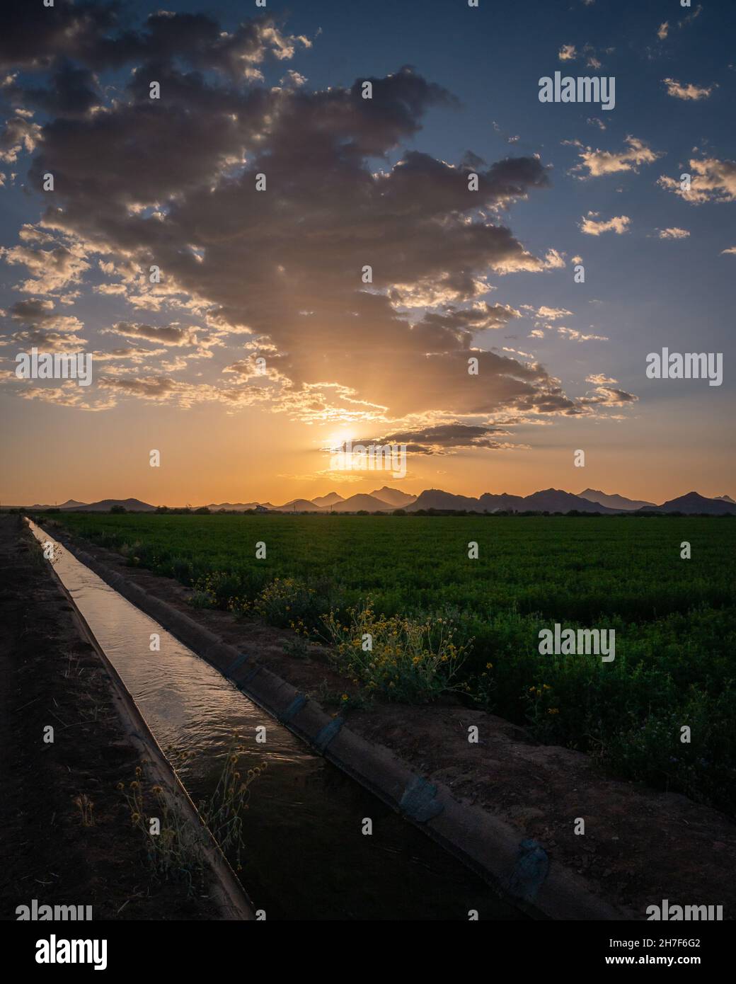 Canale dell'acqua agricola vicino alla zona agricola di Tucson, Arizona. Foto Stock