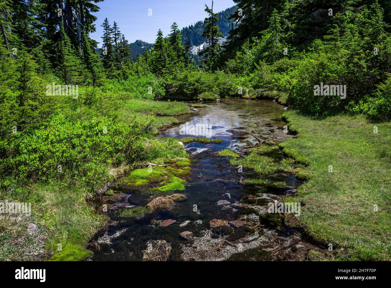 Trap Lake Outlet Stream lungo il Pacific Crest Trail nella Cascade Range, Mount Baker-Snoqualmie National Forest, Washington state, USA Foto Stock