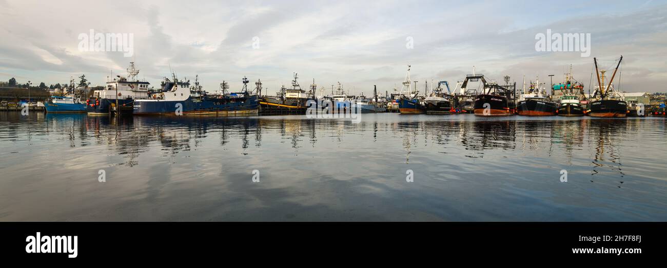 Seattle - 21 novembre 2021; pescherecci commerciali nel loro porto di Seattle. Queste navi fanno parte della flotta di pesca del Pacifico settentrionale Foto Stock