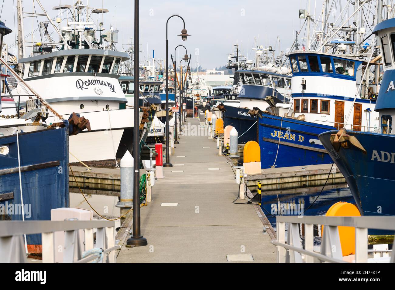 Seattle - 21 novembre 2021; attracco barche al terminal dei pescatori di Seattle, fiancheggiata da barche da pesca commerciali e pali di lampade Foto Stock