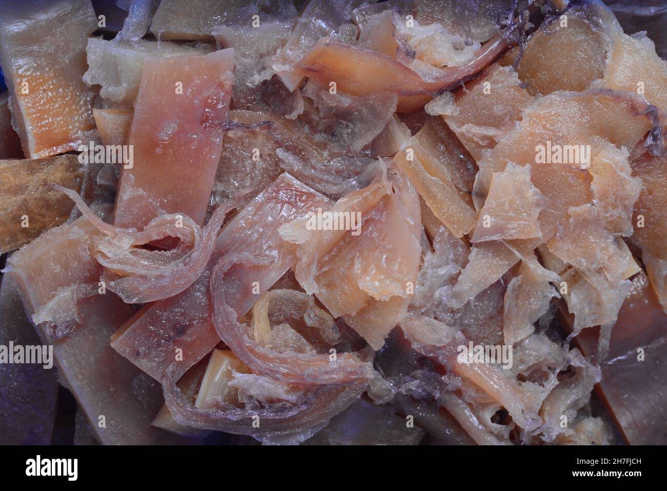 Surgelati croccanti calamari sottaceto conservazione del cibo frutti di mare Foto Stock