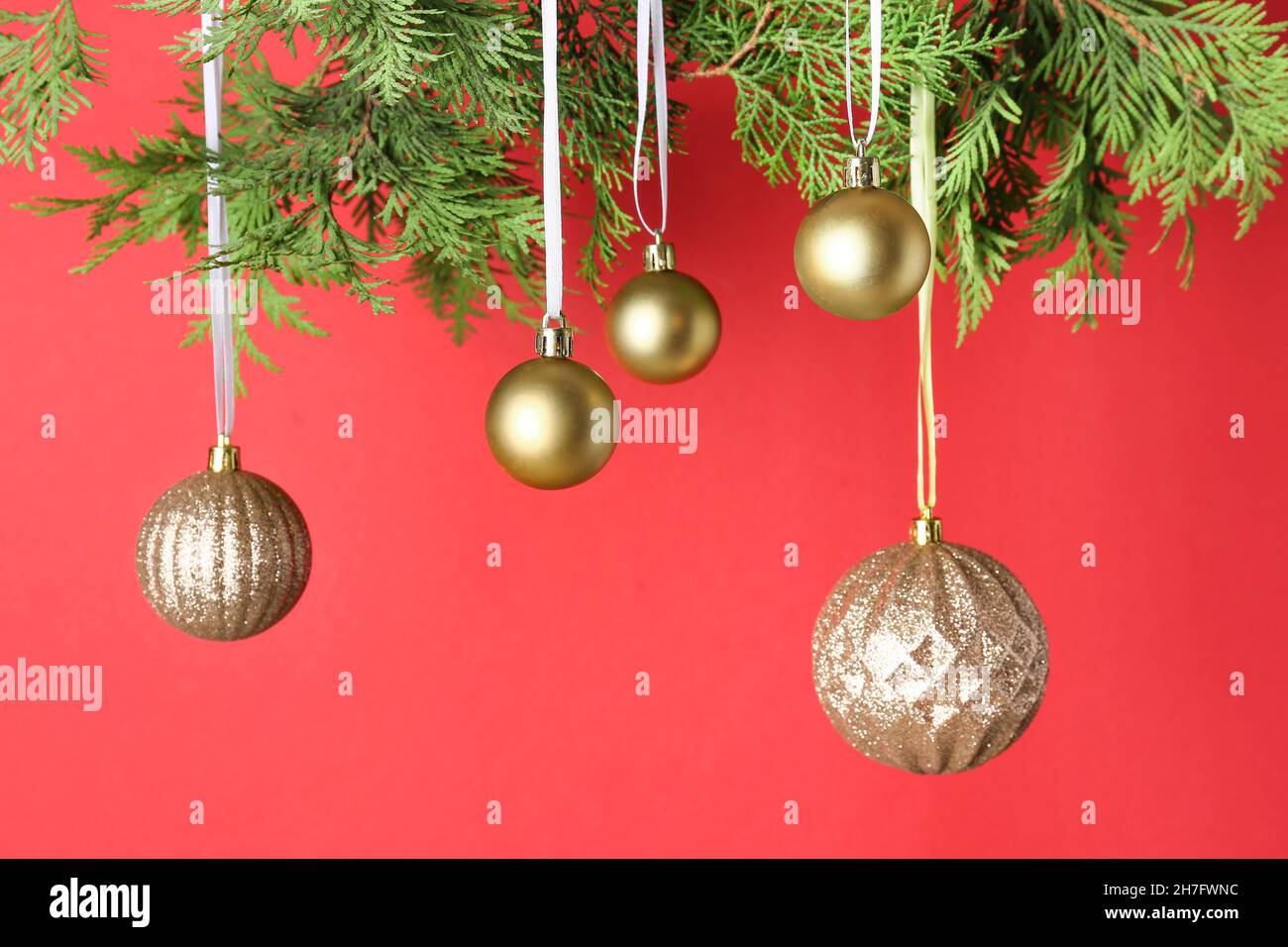Palle di Natale dorate appese su rami thuja su sfondo rosso Foto Stock