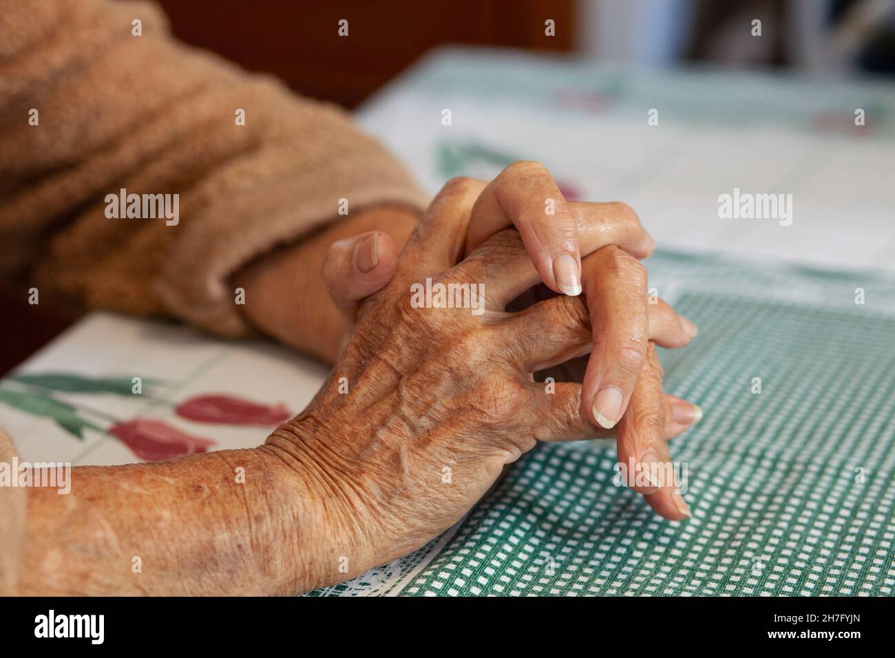 Un primo piano delle mani di una donna anziana che stringe MR - Model rilasciato Foto Stock