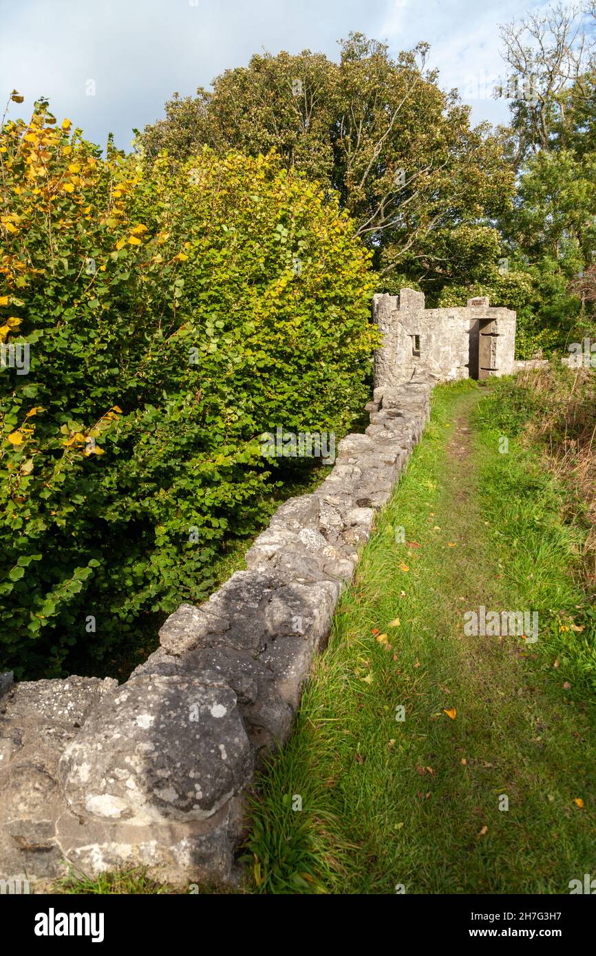 Castell Aberlleiniog Castello rovine. Llangoed, Isola di Anglesey (Ynys Mon), Galles del Nord, Regno Unito Foto Stock