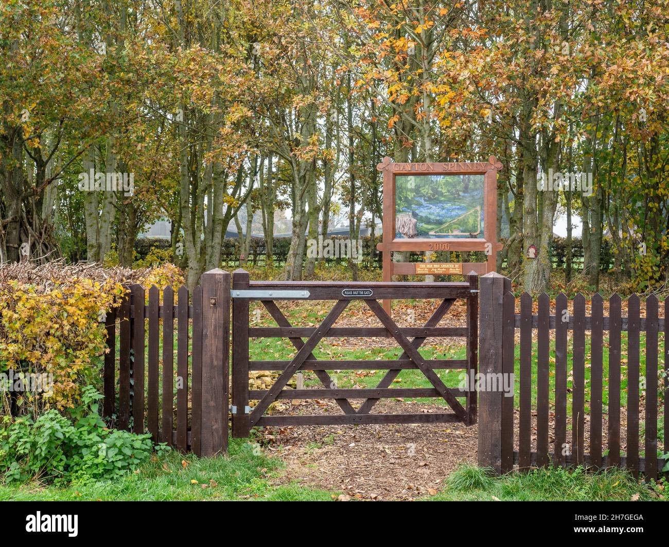 Gayton Spinney, un parco tascabile nel villaggio di Gayton, Northamptonshire, Regno Unito Foto Stock
