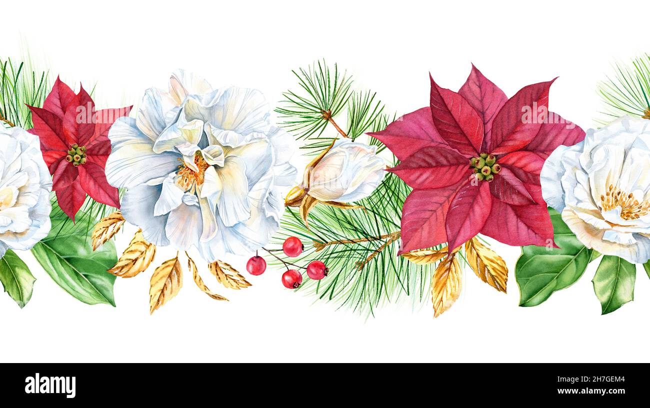 Natale senza cuciture con fiore poinsettia, rami di pino e rosa dorata. Illustrazione dipinta a mano ad acquerello. Bordo orizzontale grande per Foto Stock
