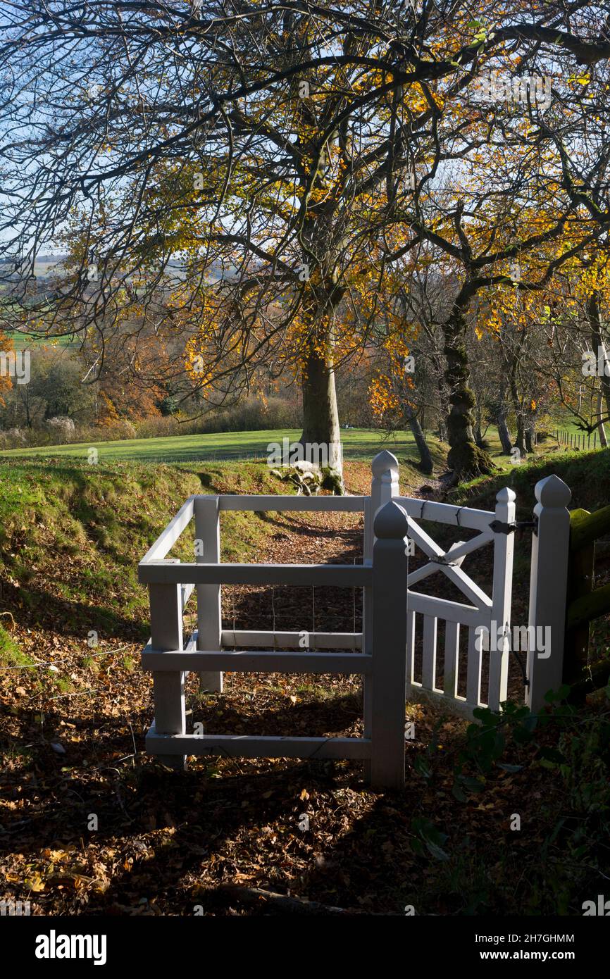 Farmcote Estate porta bianca a Guiting Wood in autunno, Gloucestershire, Inghilterra, Regno Unito Foto Stock