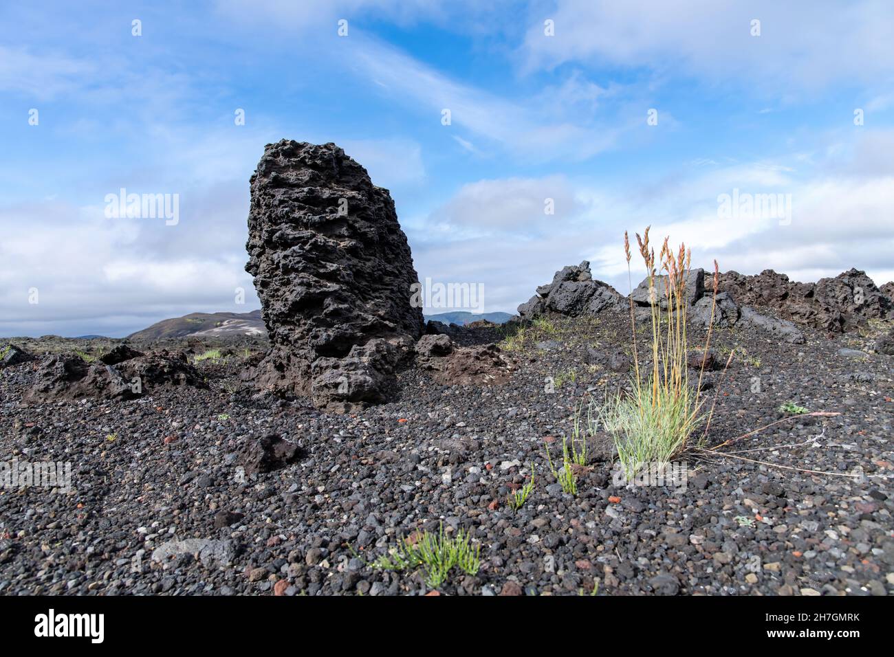 Vista ad angolo basso di alcune rocce laviche dietro alcune erbe in un paesaggio altrimenti arido di deserto di lava vicino al vulcano Katla in Islanda Foto Stock