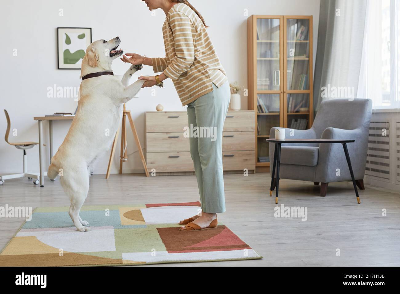 Ritratto minimale della giovane donna che gioca con il cane grande in casa accogliente interno, spazio copia Foto Stock