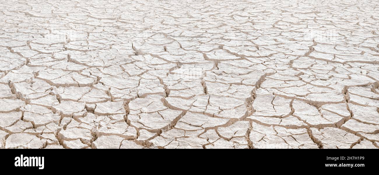 Argilla bianca crackizzata su letto di lago essiccato, modello naturale con prospettiva decrescente Foto Stock