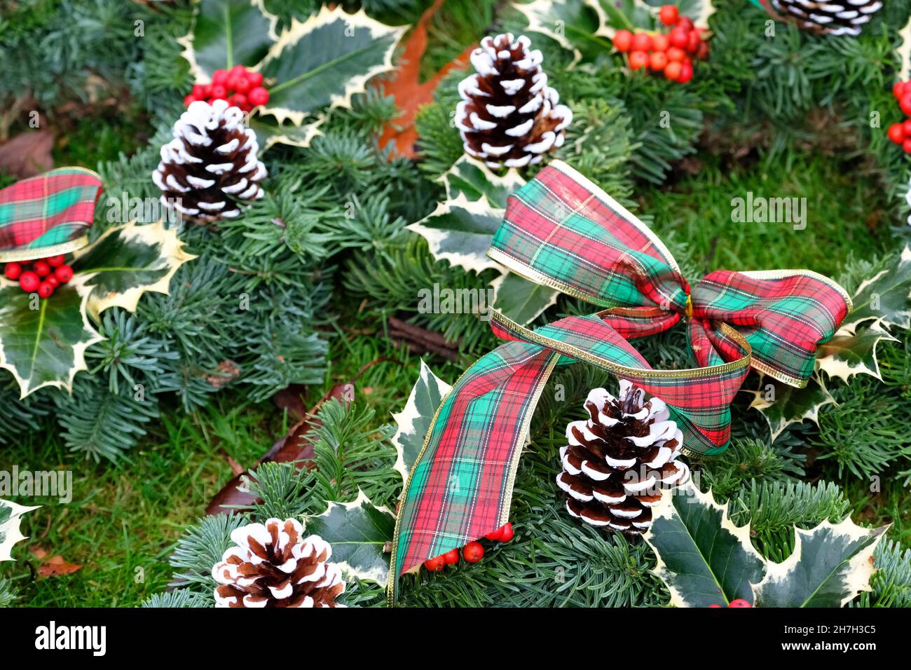 Tenbury Wells, Worcestershire, UK - Martedì 23 novembre 2021 - Una selezione di corone natalizie all'asta annuale Christmas Holly e Mistletoe a Burford House - l'asta è in esecuzione da oltre 160 anni e attrae fioristi e commercianti di mercato da tutto il Regno Unito e comprende corone preparate così come sciolti fasci di agrifoglio e vischio. Foto Steven Maggio / Alamy Live News Foto Stock