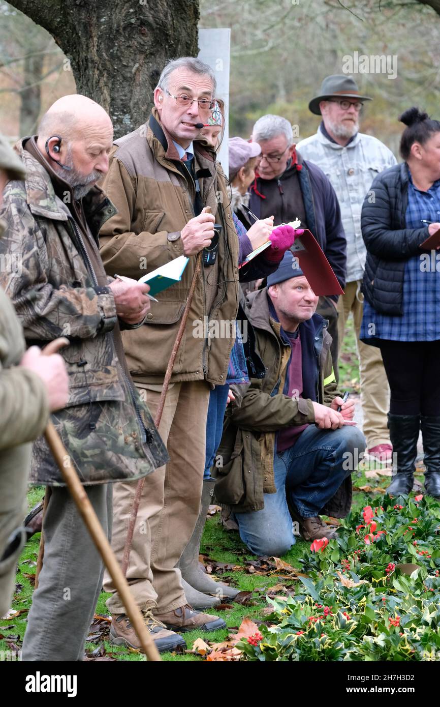 Tenbury Wells, Worcestershire, UK - Martedì 23 Novembre 2021 - Auctioneer Nick Champion guida l'asta annuale di Natale Holly e Mistletoe a Burford House - l'asta è in esecuzione da oltre 160 anni e attrae fioristi e commercianti di mercato da tutto il Regno Unito e comprende le corone preparate così come i fasci sciolti di agrifoglio e di vischio. Foto Steven Maggio / Alamy Live News Foto Stock