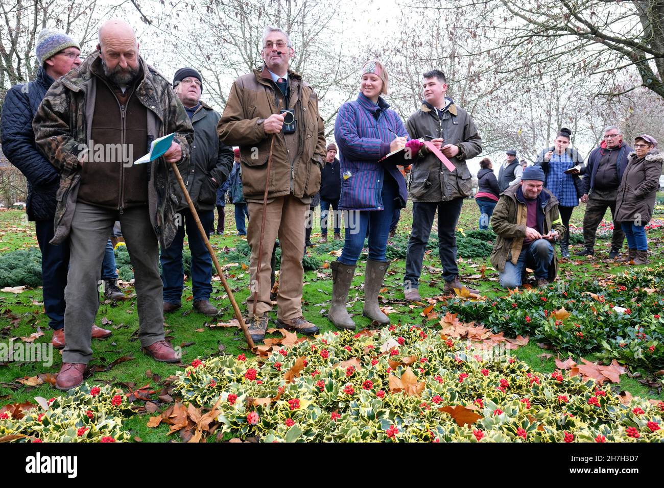 Tenbury Wells, Worcestershire, UK - Martedì 23 Novembre 2021 - Auctioneer Nick Champion guida l'asta annuale di Natale Holly e Mistletoe a Burford House - l'asta è in esecuzione da oltre 160 anni e attrae fioristi e commercianti di mercato da tutto il Regno Unito e comprende le corone preparate così come i fasci sciolti di agrifoglio e di vischio. Foto Steven Maggio / Alamy Live News Foto Stock