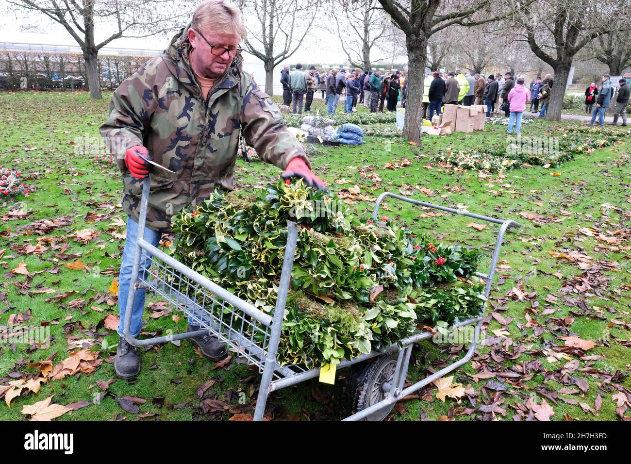 Tenbury Wells, Worcestershire, UK - Martedì 23 novembre 2021 - Un acquirente da Buckinghamshire carica il suo acquisto di ghirlande sacre all'asta annuale di Natale Holly e Mistletoe a Burford House - l'asta è in esecuzione per oltre 160 anni e attrae fioristi e commercianti di mercato da tutto il Regno Unito e. include le corone preparate e i fasci sciolti di agrifoglio e vischio. Foto Steven Maggio / Alamy Live News Foto Stock