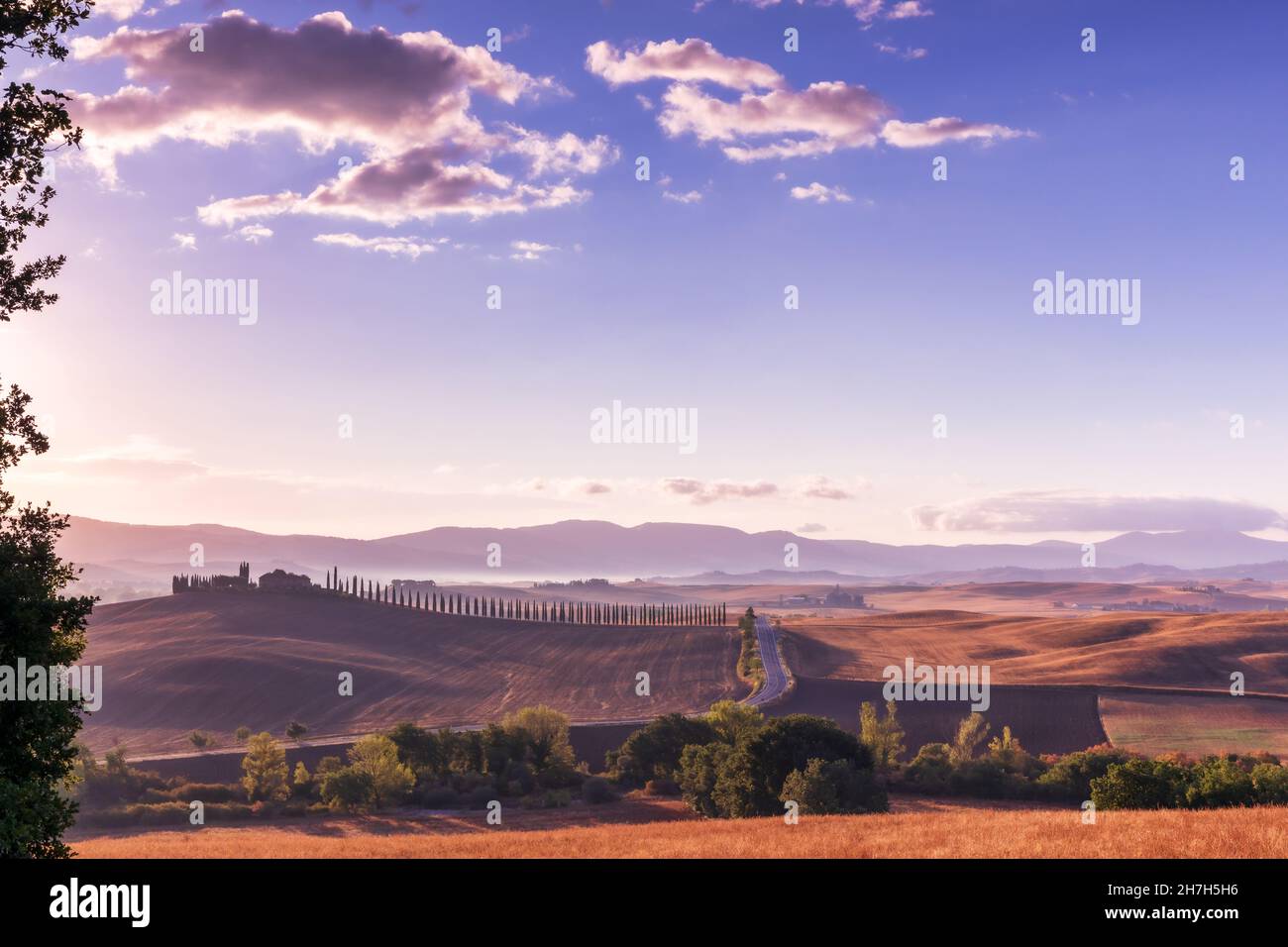 Paesaggio toscano con cipressi e cascina di sunrise, San Quirico d'Orcia, Val d'Orcia, Toscana, Italia Foto Stock