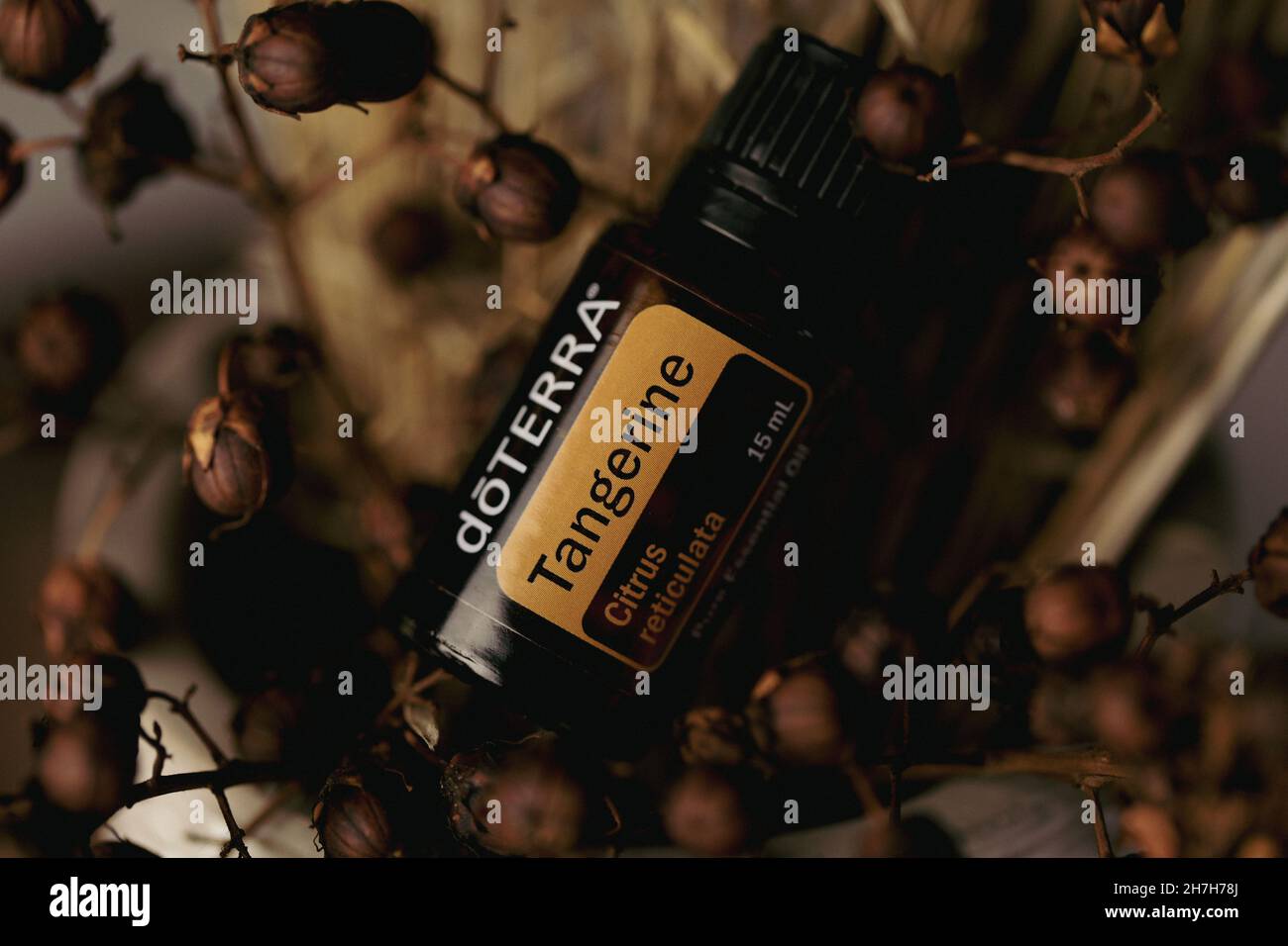 PYRAMID HILL, AUSTRALIA - 10 agosto 2021: Immagine editoriale illustrativa degli oli essenziali di Doterra Foto Stock