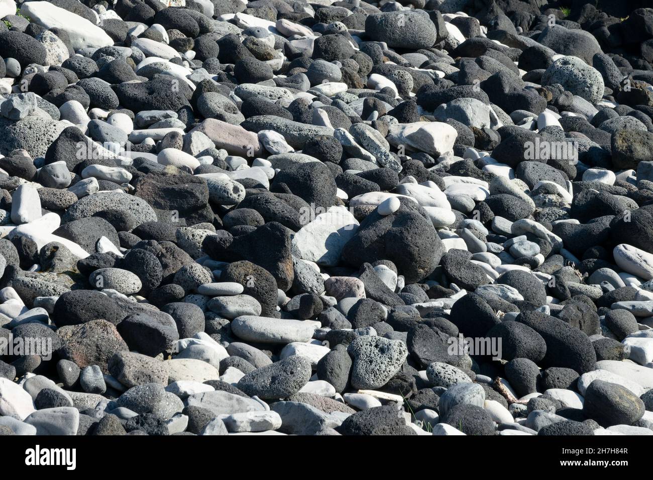 Primo piano di rocce laviche nere e ciottoli su una spiaggia in Islanda Foto Stock