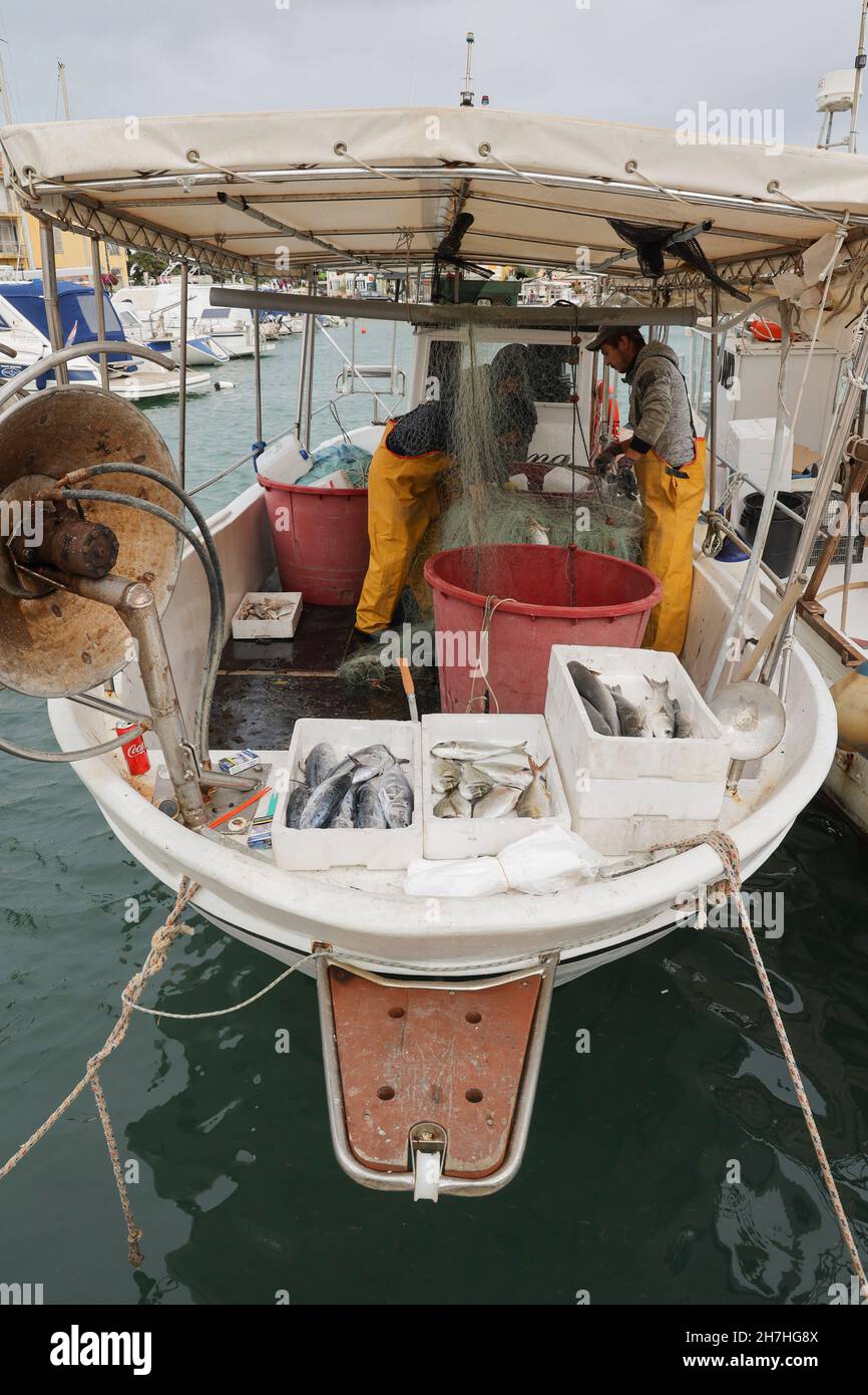 Pescatori che prendono il pesce dalla rete,Cittanova, Istria, Croazia, Europa. Foto Stock