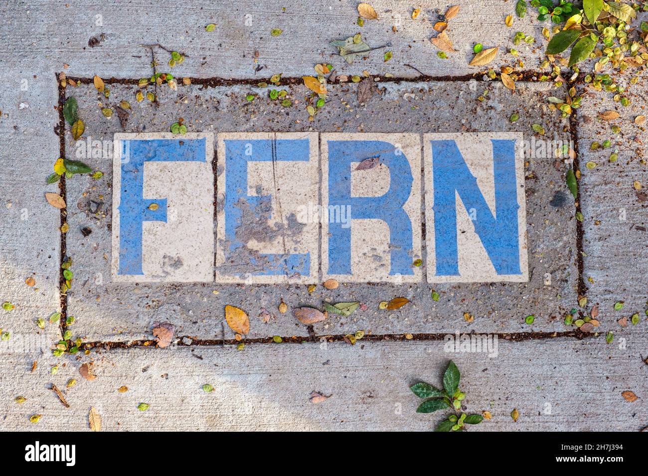 Fern Street Tile Inlay sul marciapiede nel quartiere Uptown a New Orleans, Louisiana, USA Foto Stock