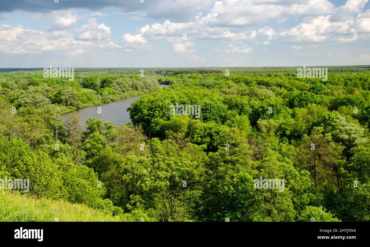 Verde foresta estiva e pittoresco fiume sotto il cielo blu profondo con le nuvole bianche Foto Stock