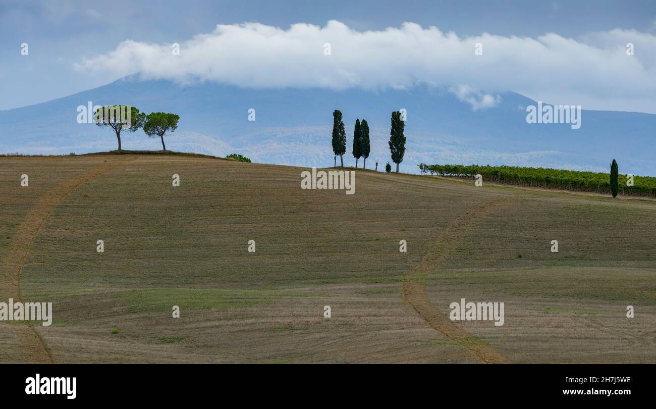 Pittoresco paesaggio autunnale, Toscana, Italia, Europa Foto Stock