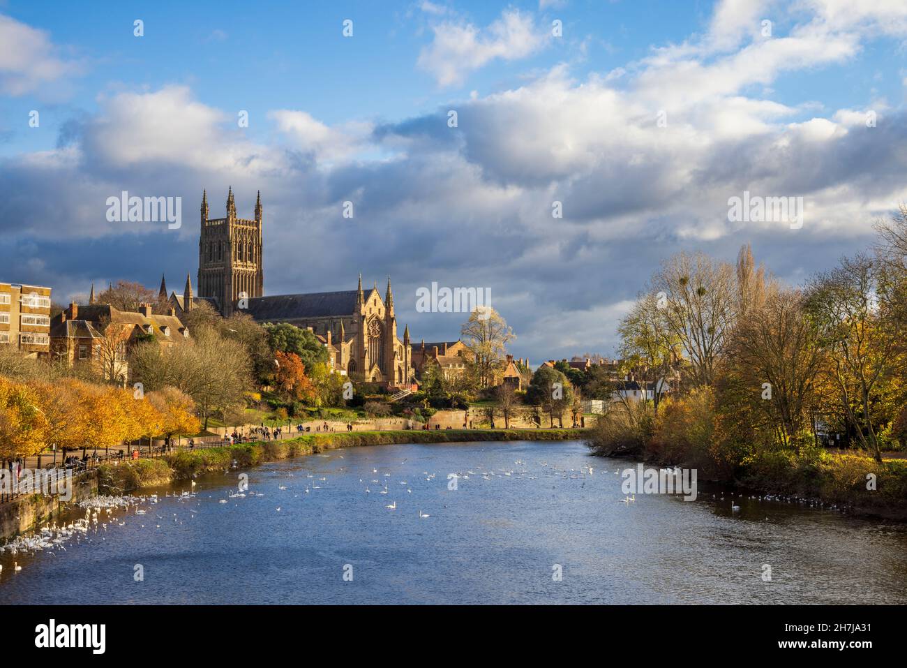 Cattedrale di Worcester sul fiume Severn, Worcestershire, Inghilterra Foto Stock