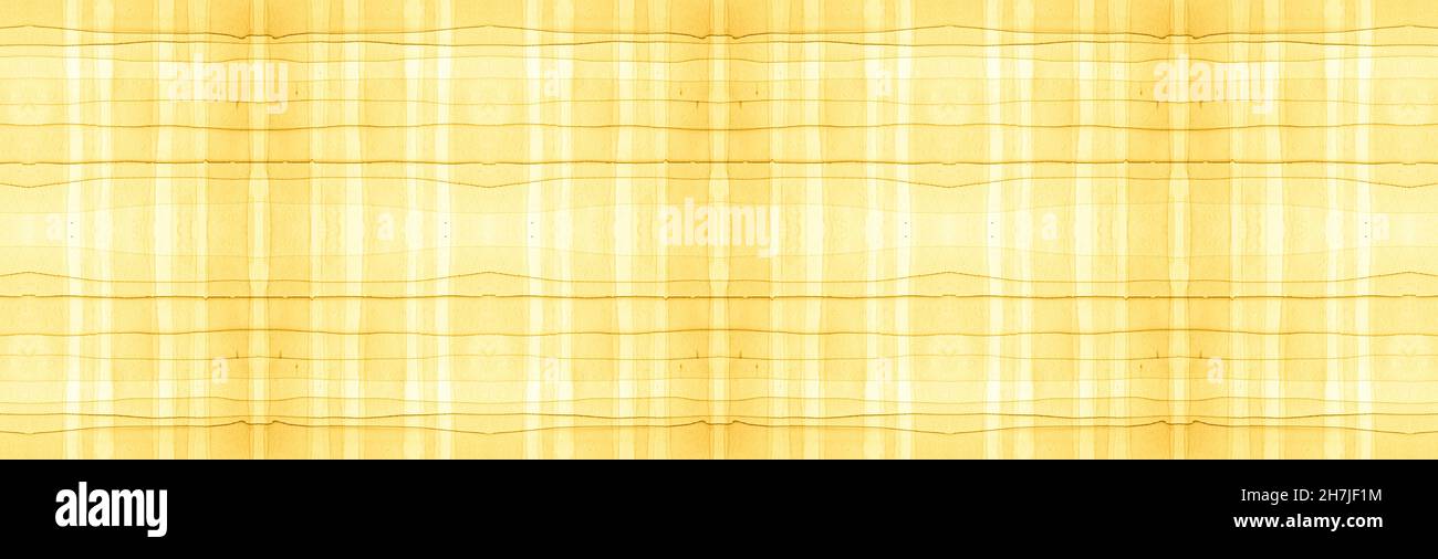 Controllare il modello. Bordo tartan. Camicia celtica Foto Stock