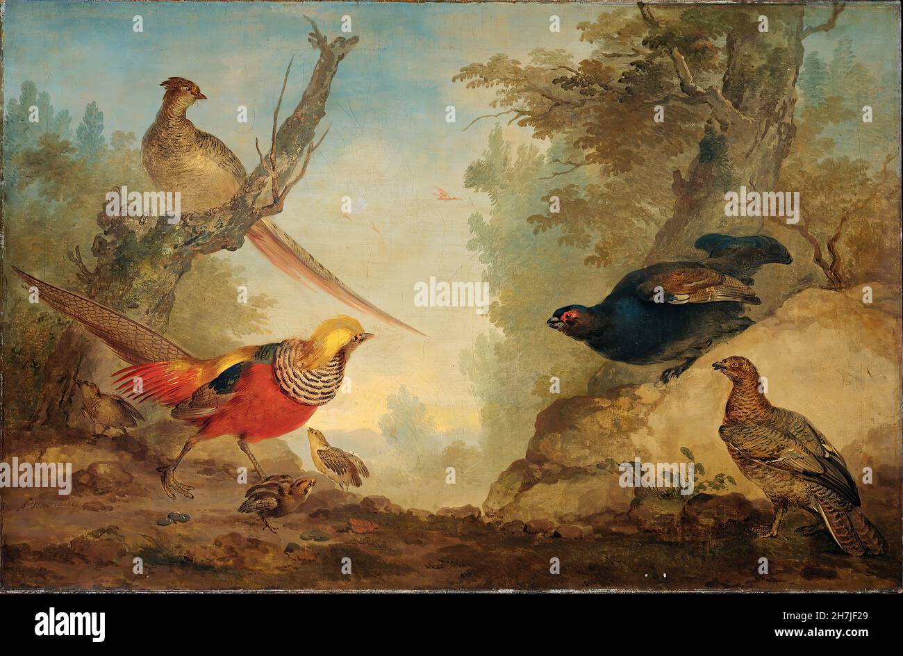 Aert Schouman - Goudfazanten Met kuikens en korhoenders in een landschap (c.1730) Foto Stock