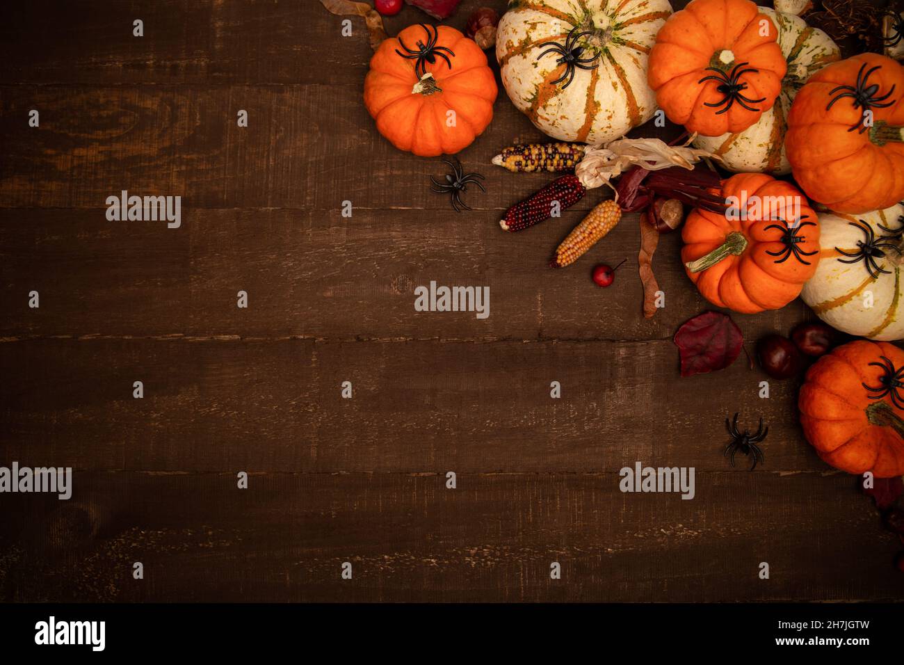 Composizione a tema di Halloween con spazio per la copia. Zucche, ragni, mais su sfondo rustico scuro in legno. Vista dall'alto sullo sfondo di Halloween. Foto Stock
