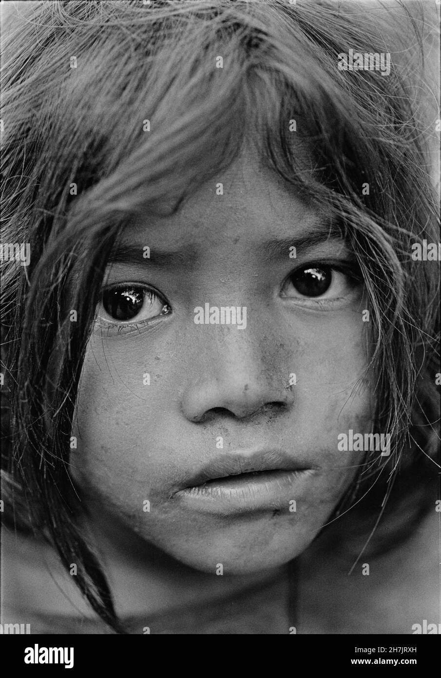 Masino, di 7 anni, lavora con la sorella di 5 anni in campi, a circa 2 km da dove vivono. Sono Tamang, un basso cast in Nepal. T Foto Stock