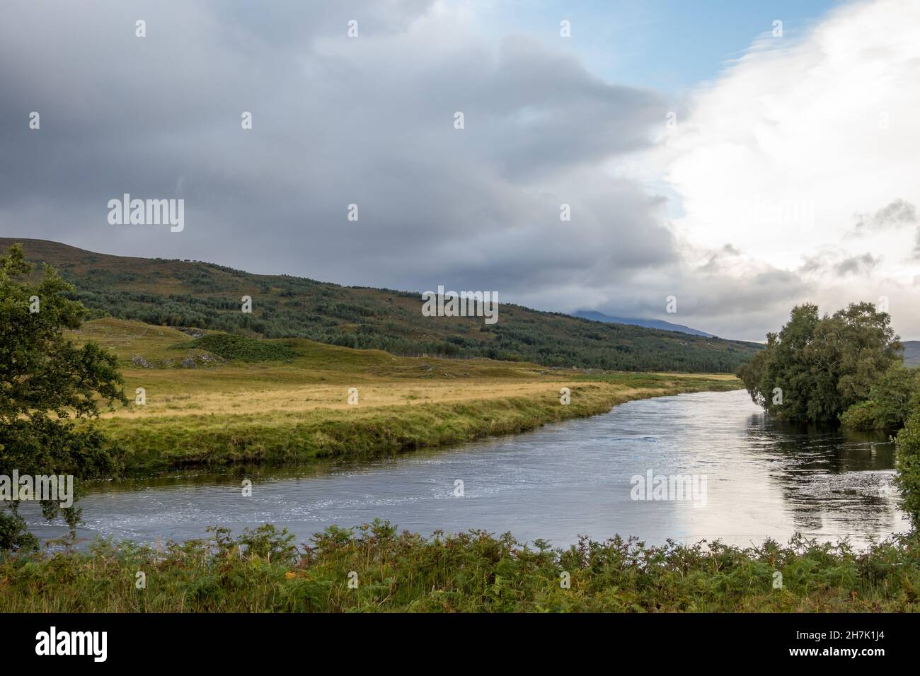 Regno Unito, Scozia, Highlands, River Cassley a Sutherland. È un fiume di price della pesca della mosca del salmone. Foto Stock