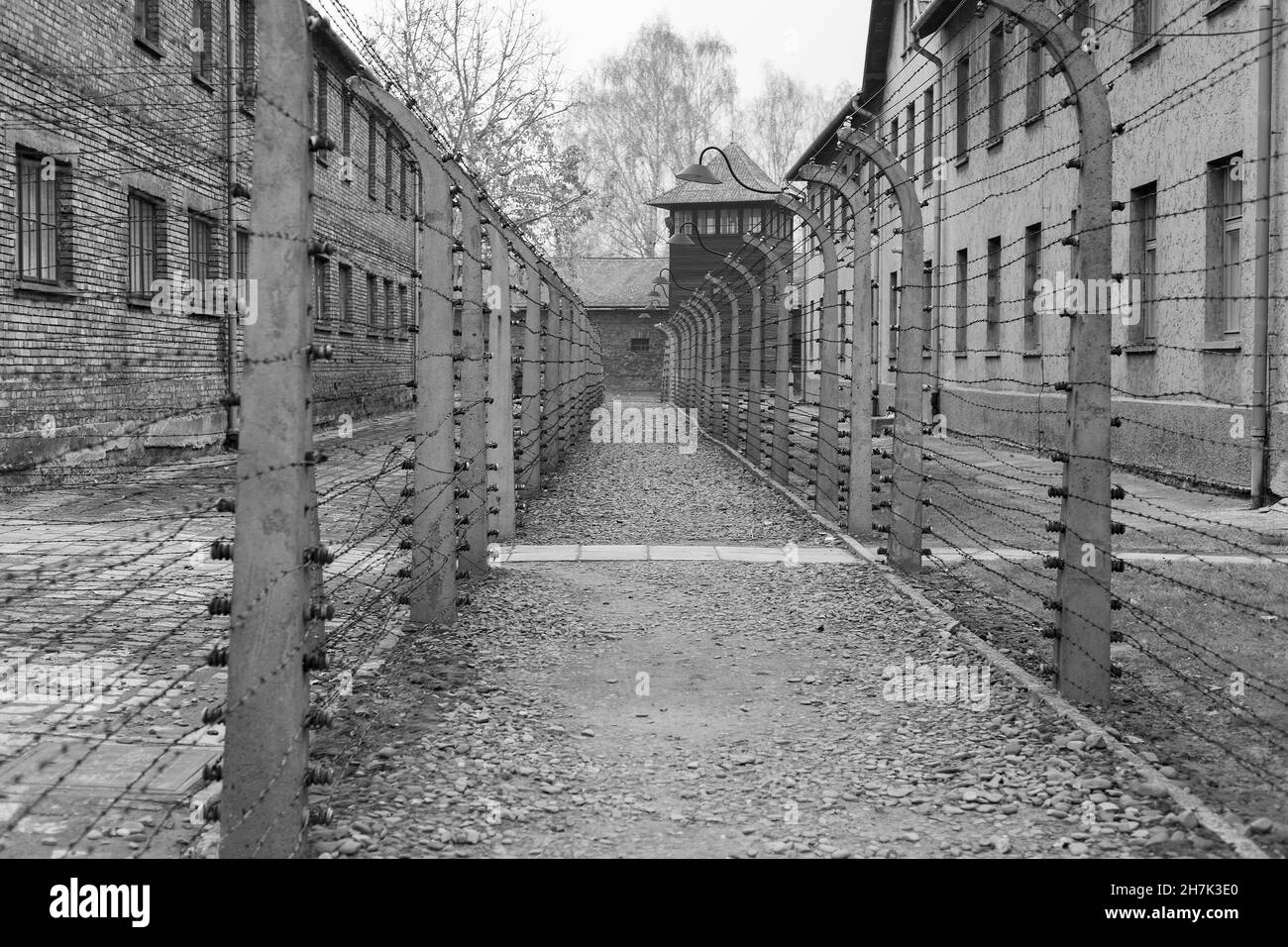 Recinzione elettrica, campo di concentramento e sterminio nazista, Auschwitz, Polonia Foto Stock