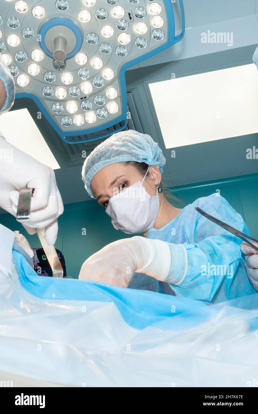 Una chirurgo femminile esegue un intervento chirurgico. Messa a fuoco selettiva. Dietro il medico c'è una lampada chirurgica a LED grande e luminosa. Foto Stock