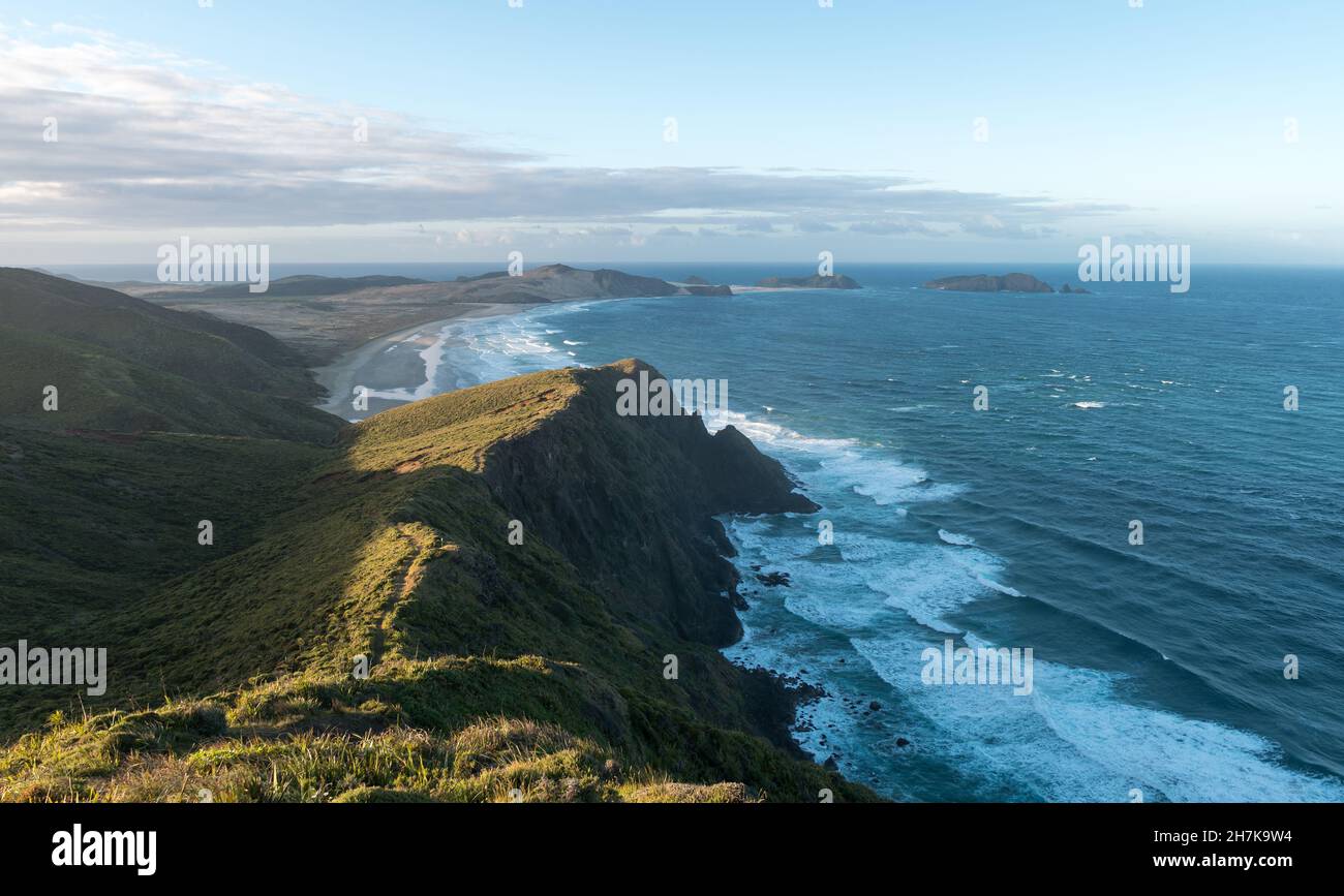 Vista dal Faro di Cape Reinga sull'Isola del Nord della Nuova Zelanda al tramonto Foto Stock