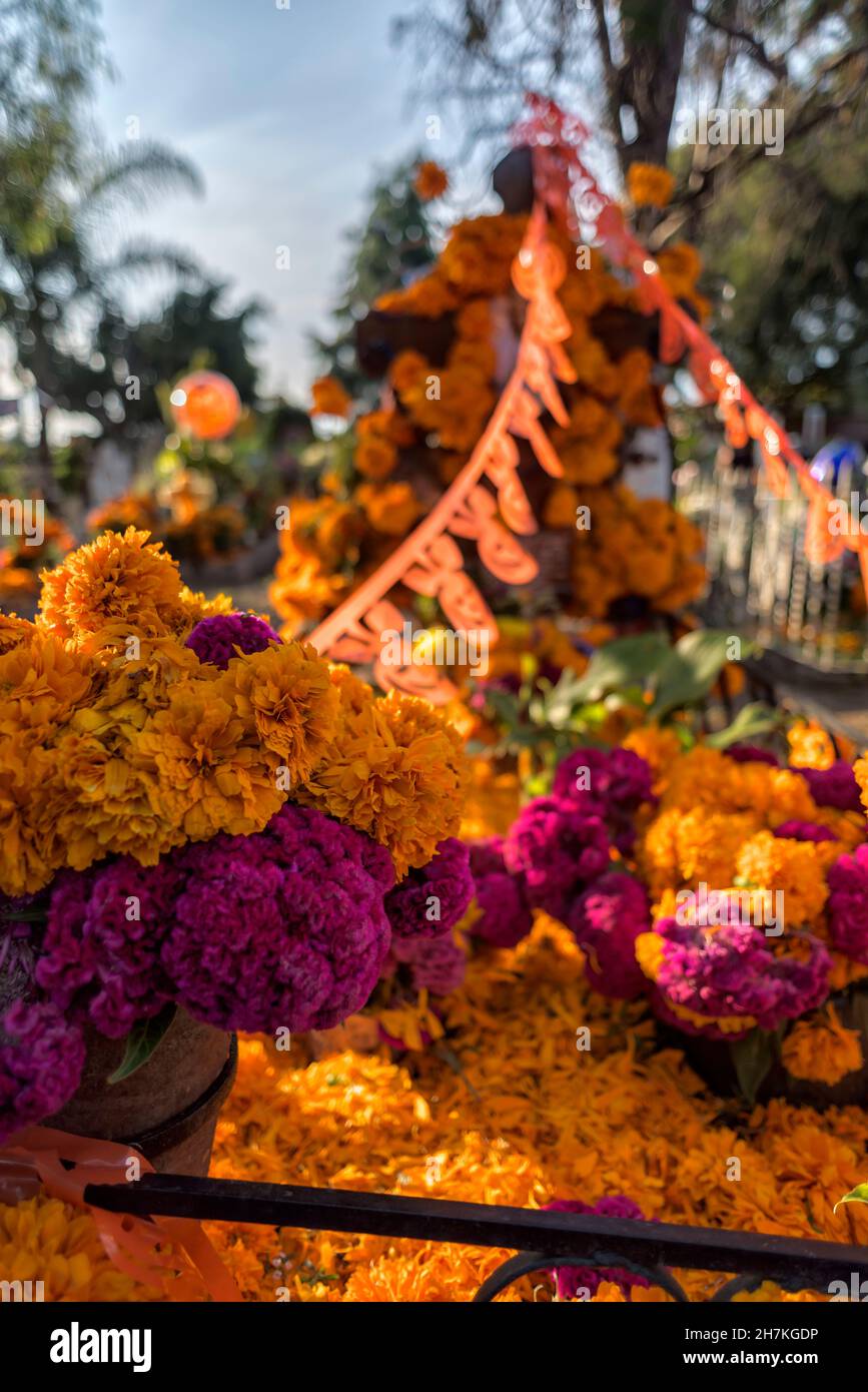 Cholula, Messico; 11-02-2021 primo piano di una bella tomba adornata nel cortile della tomba con fiori di cempasuchil per la celebrazione del giorno dei morti Foto Stock