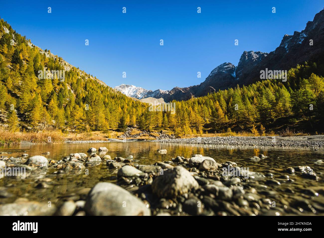 Valle di conifere vicino al fiume durante la giornata di sole in Val Masino, Sondrio, Italia Foto Stock