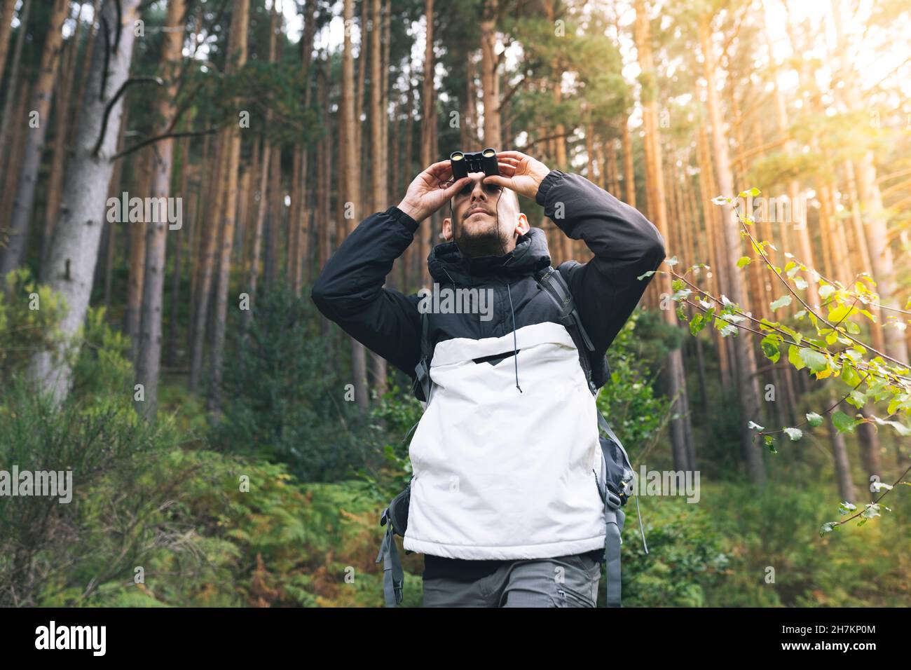Saluto uomo sorridente durante la videochiamata tramite tablet digitale nella foresta Foto Stock
