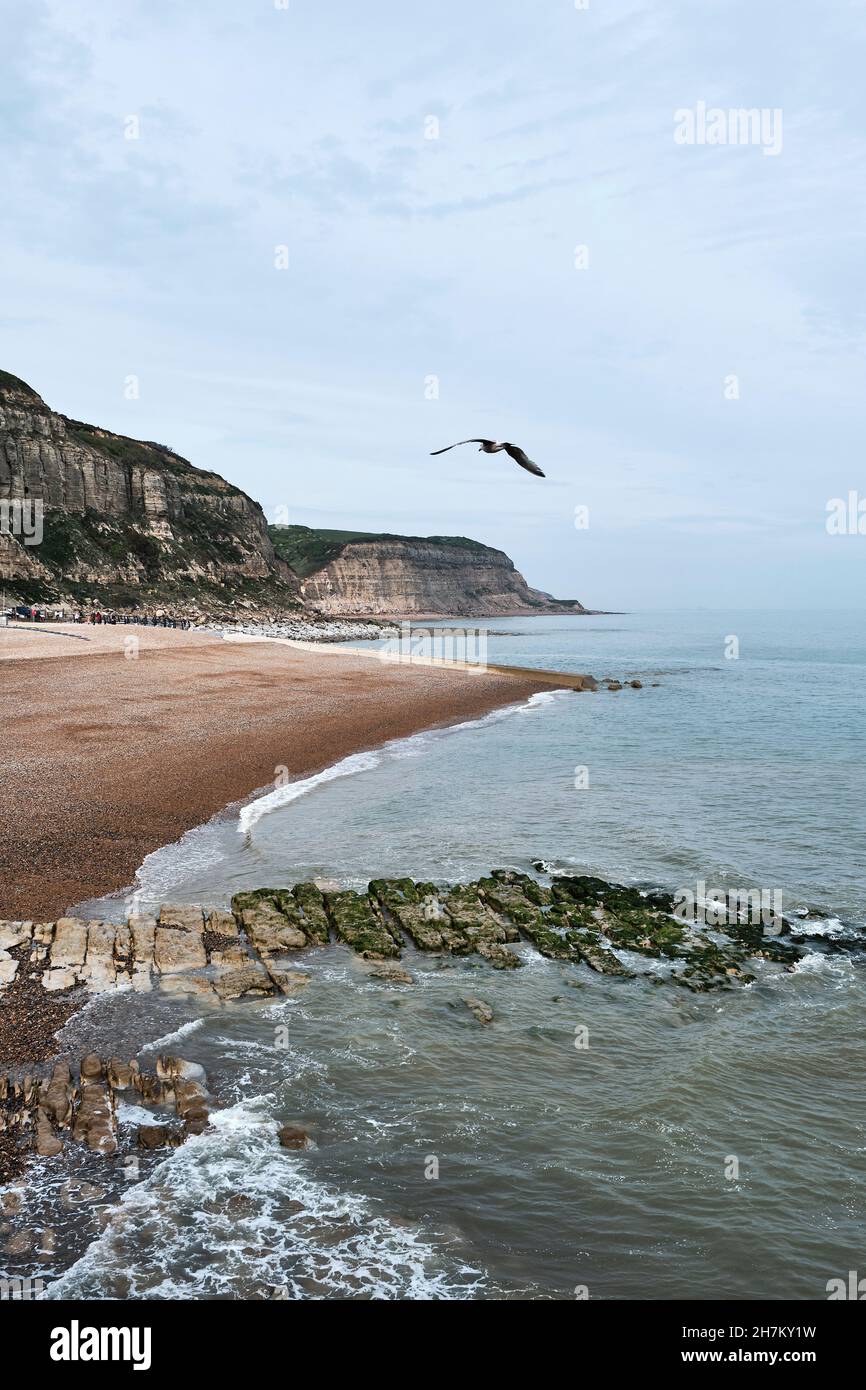 Vista della spiaggia di Rock A Nore a Hastings, East Sussex, Regno Unito. Foto Stock