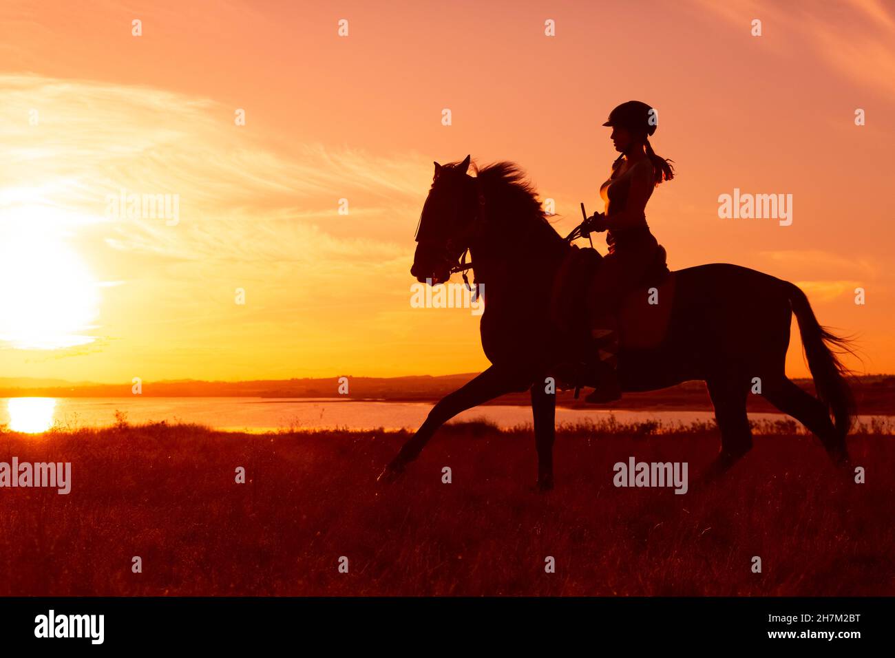 Giovane donna che cavalca a cavallo al ranch Foto Stock